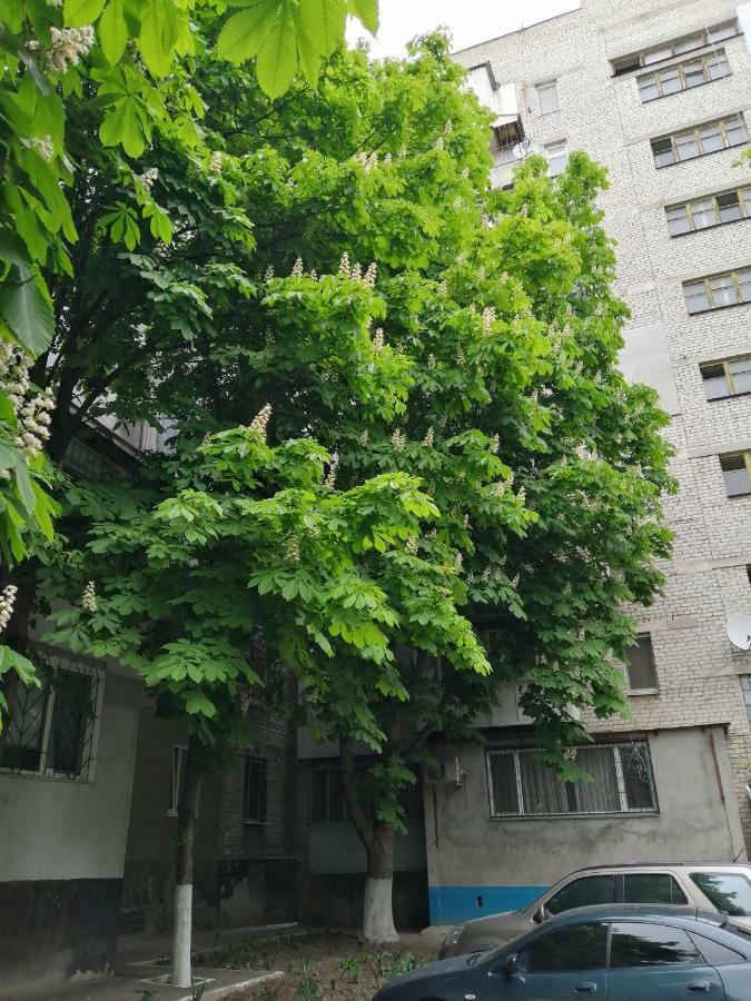 Apartments near the sea โอเดสซา ภายนอก รูปภาพ